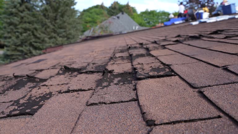 Best Commercial Roofing Services  in Eagle, CO